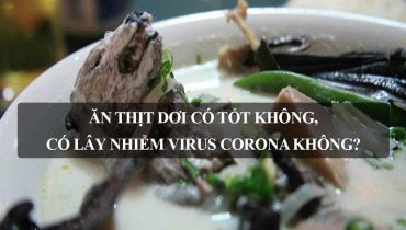 Ăn Thịt Dơi có tốt không, có lây nhiễm virus corona không?